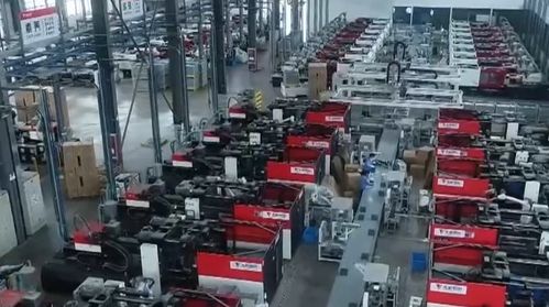 中國科學(xué)院發(fā)布多個(gè)生物多樣性成果 我國基本摸清主要生物類群和植被類型