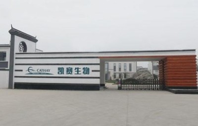 剛剛,80后科學(xué)家楊晨獲聘生物基聚酰胺龍頭凱賽生物副總裁