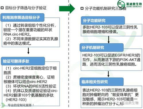 基迪奧客戶再發環狀rna翻譯高分文章