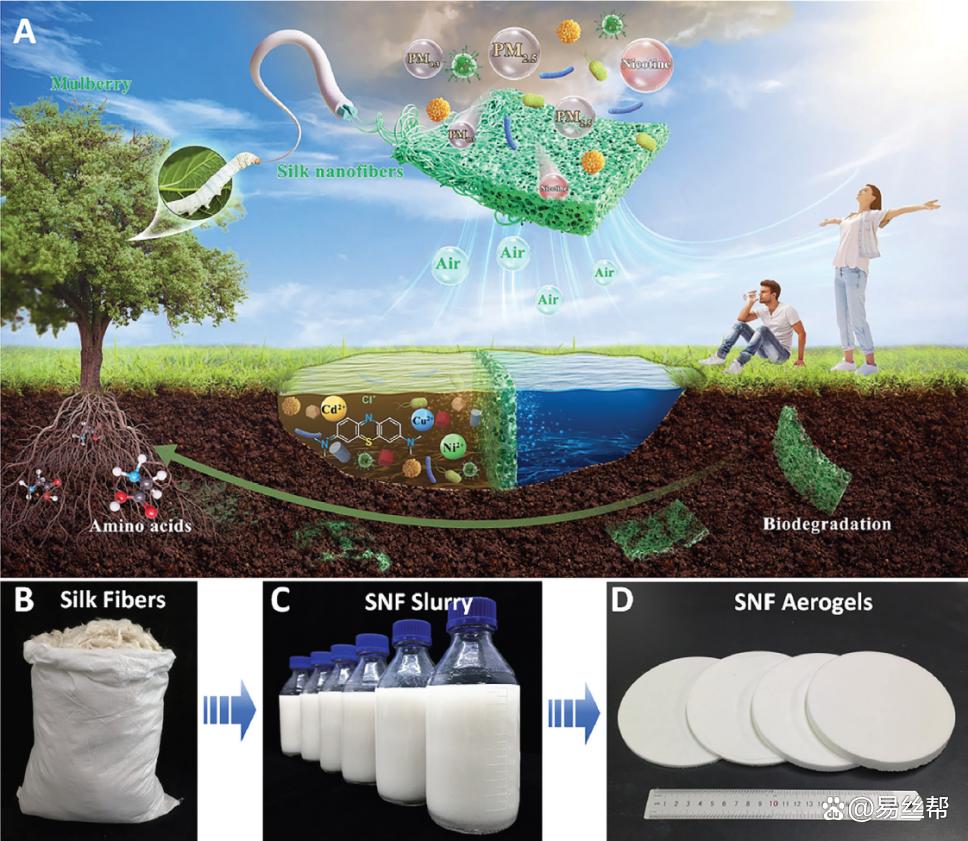 基于蠶絲納米纖維的多功能可生物降解化工產品技術研發(fā)